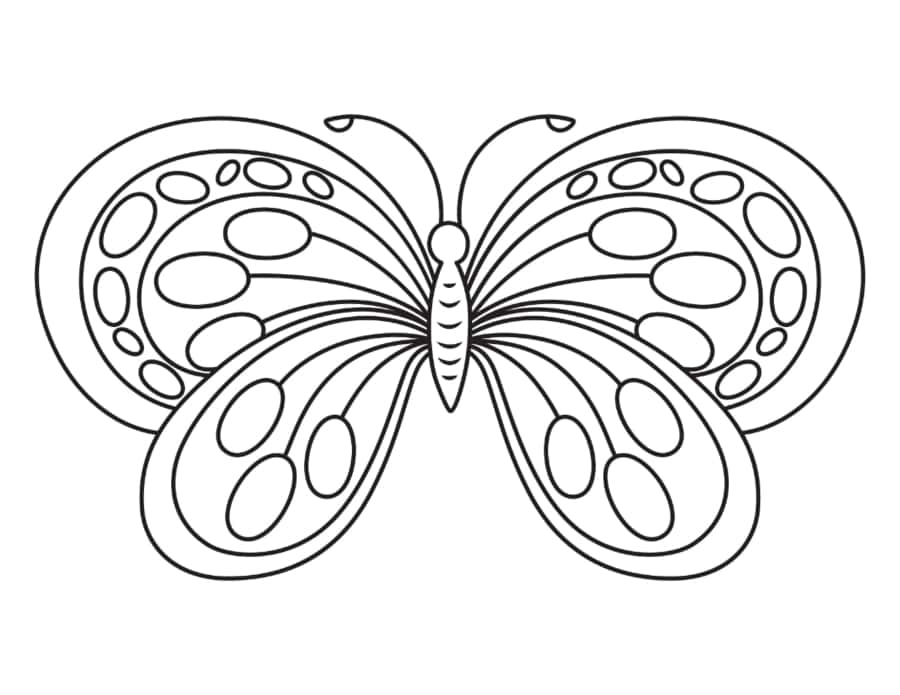 Butterfly Rounded Coloring Pages Pdf Free Vectors